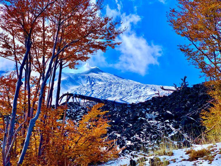 Etna: Craters of the 2002 Eruption Trekking Experience